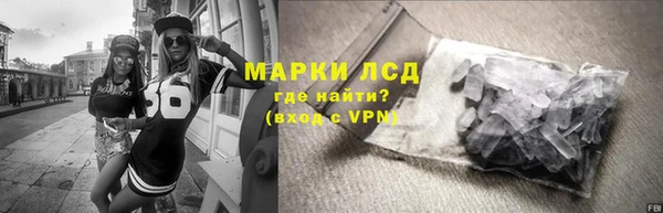 молекула духа Покровск