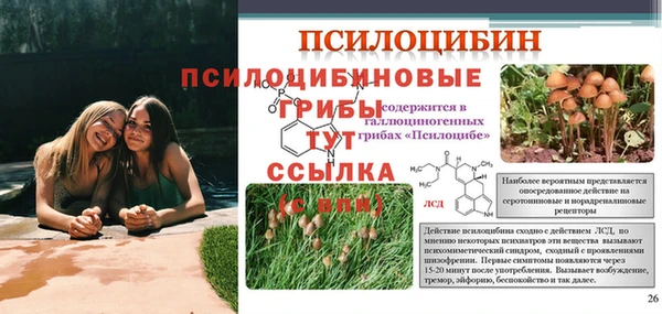 метадон Покров