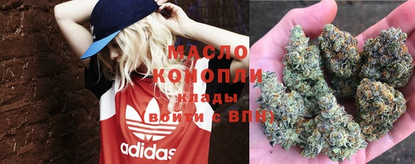 молекула духа Покровск