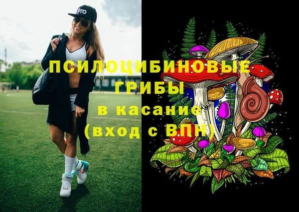 молекула духа Покровск