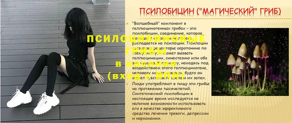 COCAINE Покачи