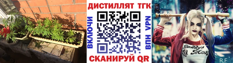 как найти   блэк спрут зеркало  ТГК вейп с тгк  Баксан 