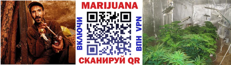 как найти   Баксан  Бошки марихуана планчик 